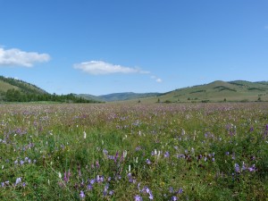 Mongolia - East and Quilt Show 230