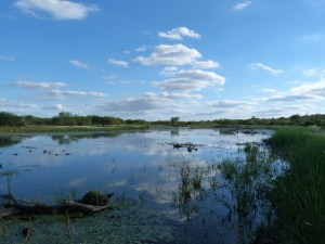 TX Rio Grande and Big Bend 020