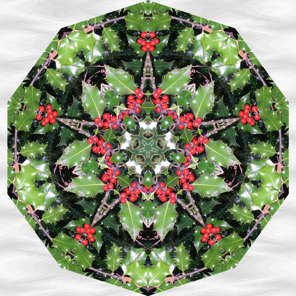 Xmas 2010b