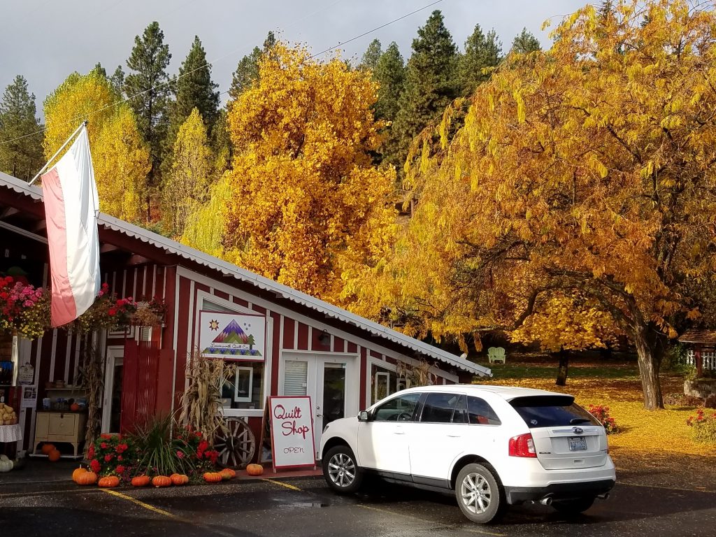 Quilt store Dragonfly Quilts Blog